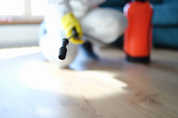 Best Environmental Consulting for Mold Prevention  in Rifle, CO