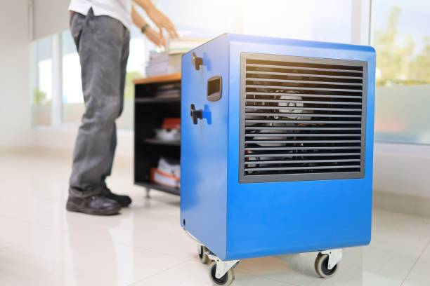 Best Indoor Air Quality Assessment  in Rifle, CO