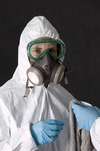 Best Attic Mold Removal  in Rifle, CO